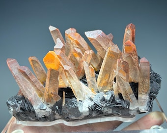 5.5" Specularite Quartz / Hematite roses and Quartz from Jinlong Iron Mine, Longchuan Co, Heyuan, Guangdong, China with customized stand