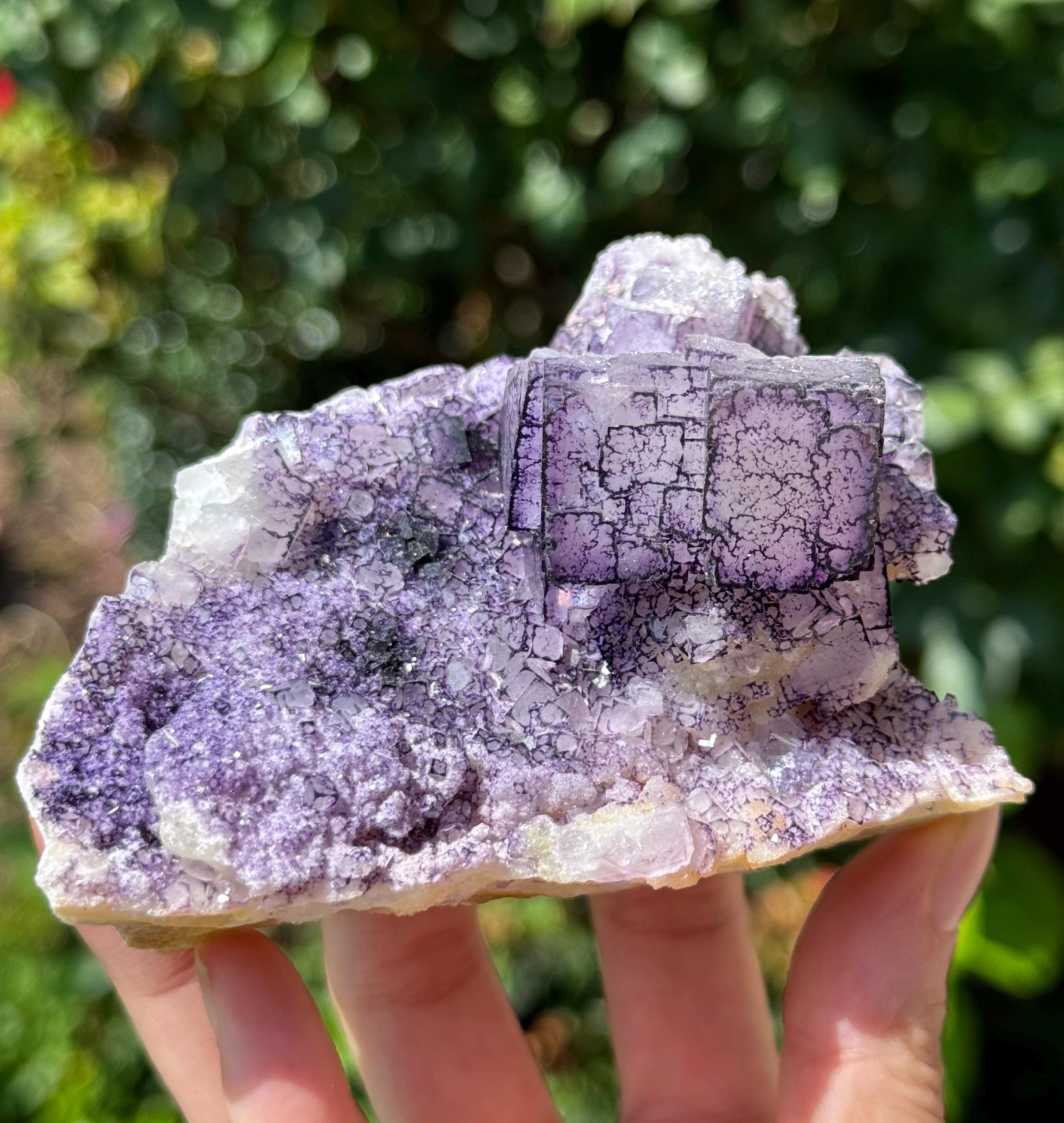 Porcelain Fluorite - Etsy