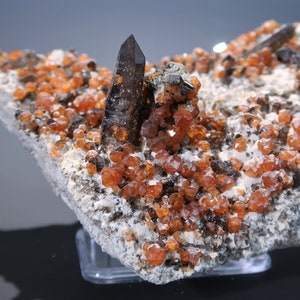 14cm Spessartine Garnet on Smoky Quartz from Fujian, China / Raw Mineral Specimen