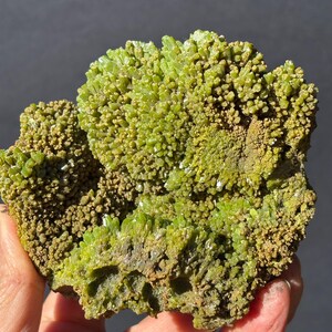 Puede incluir: Primer plano de un espécimen mineral con un grupo de pequeños cristales verde brillante. Los cristales tienen una apariencia espinosa y texturizada, con áreas de tonos marrones y beige. La forma general es irregular y natural.