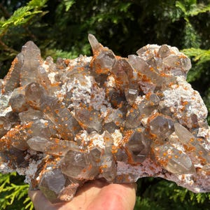 Large Spessartine Garnet on Smoky Quartz from Fujian, China / Raw Mineral Specimen