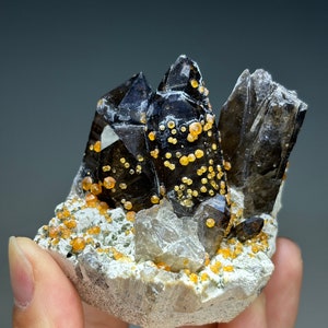 Spessartine Garnet on Smoky Quartz from Fujian, China / Raw Mineral Specimen