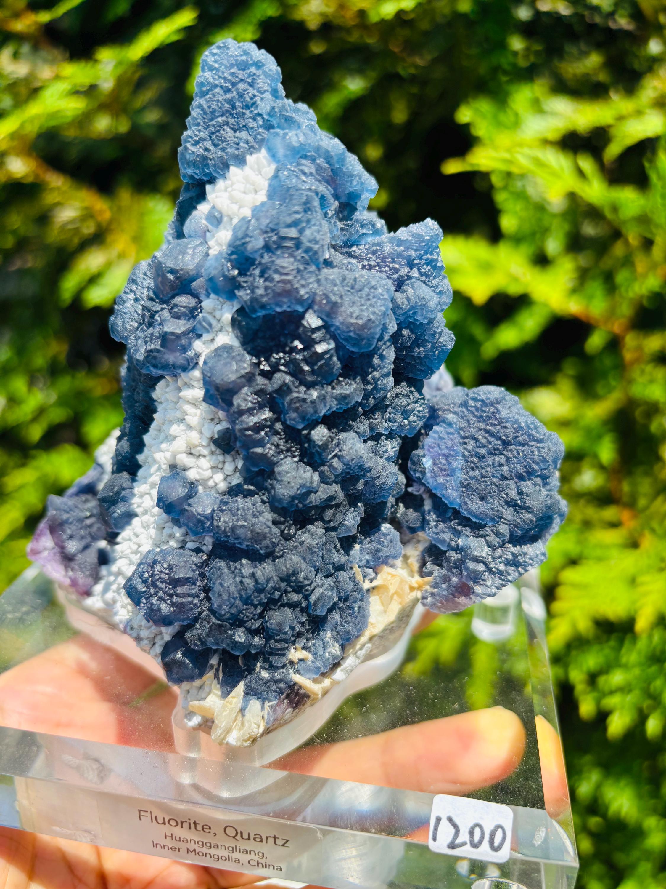 7.5インチ ブルーベリーフローライト、キャンドルクォーツ、特注