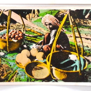 Ethnografische Porträts aus Vietnam / 2 Vintage-Postkarten / Büffelgardin-Kind und junges Mädchen auf dem Markt / Asiatische Wandkunst -B12