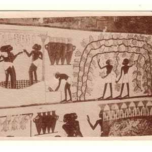 Egyptian tomb - Thebes - tomb of the scriptor Nakht - grape harvest scene in Egypt - Egypt postcard - old postcard