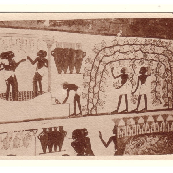 Tombe égyptienne-Thèbes-tombe du scripte Nakht- scène de vendange en égypte-carte postale Egypte- carte postale ancienne