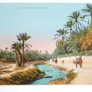 Oasis et palmiers en Afrique du Nord - carte postale ancienne Afrique du Nord -décoration ethnique-orientaliste-décoration orientale-