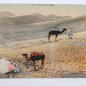 Paysage désert du Sahara / coucher de soleil / dromadaires et  nomades /carte postale ancienne /antique photo d'Afrique du nord-ref40