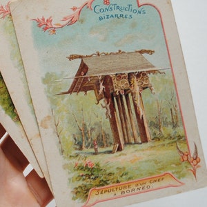 3 Vintage-Chromolithographien 1900 / Landschaften der Welt / Annam / Borneo / Algerien A6