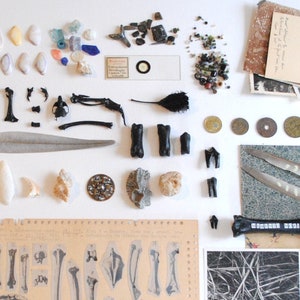 Lot of curiosities cabinet / +80 objects / Collection of bones, natural objects, old objects, old papers.. / create your museum!