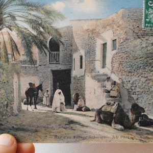 Paysage désert du Sahara / village Saharien / dromadaires / carte postale ancienne /antique photo d'Afrique  - paysage saharien REFA10gr