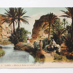 Gabès - Oasis et palmiers en Afrique du Nord - carte postale ancienne  - vintage  travel art print A37