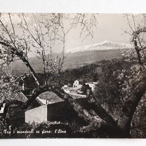Taormine - Sicile - carte postale vintage - amandiers en fleurs et Etna-  art mural paysage méditerranéen