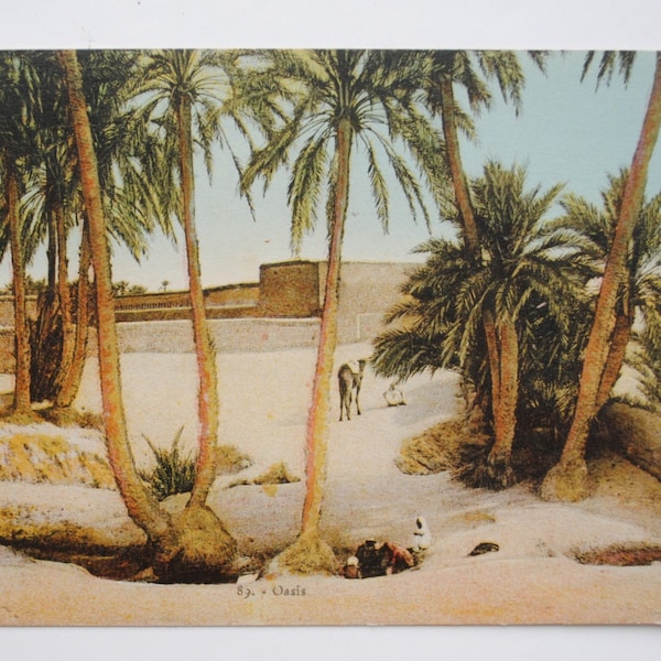 Paysage oriental de désert et palmiers - Oasis et palmiers en Afrique du Nord - carte postale ancienne Afrique- ethnic home decor A9