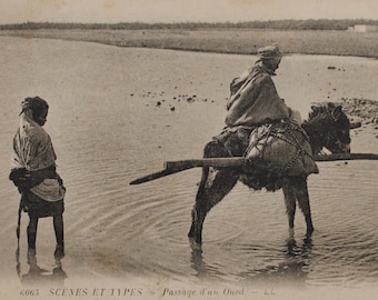 African photography / child in a wadi in Algeria / old postcard / donkey / African wall art REFA15