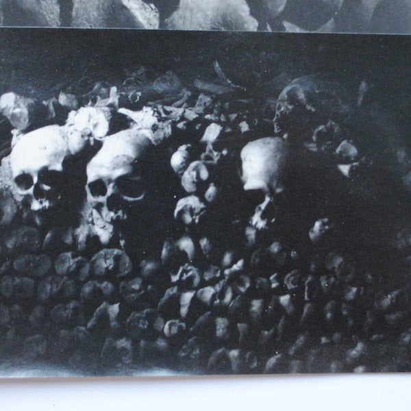 Catacombes Paris - 2 photographies vintage crânes humains -image macabre-cabinet de curiosité-morbide-insolite-photo noir et blanc - 1990