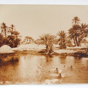 Túnez rara foto antigua original de F. Soler-oasis de Gafsa- niños bañándose-palmeras- impresión de arte sepia