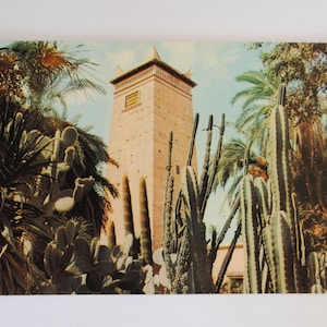 Art mural Maroc / Marrakech /  Jardin Majorelle / carte postale ancienne 1920 / art de décoration intérieur marocain A5