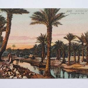 Oasis et palmiers en Afrique du Nord - carte postale ancienne  - art mural coloré rose et vert - décoration orientale A15
