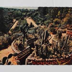 Meknès - Vallée heureuse - Jardin disparu d'Emile Pagnon - jardin exotique de plante succulentes -lot  5 photos et cartes postales