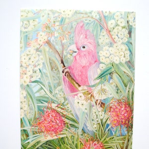 Art tropical de l'Australie-Cacatoès-Eolophus roseicapilla-Australian art print-australian landscape- carte postale art oiseaux