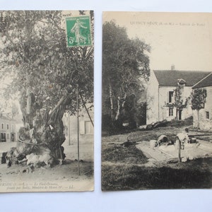 Antique français 2 cartes postales anciennes-Très vieil arbre pluticentenaire et lavoir-Indre et Loire et Seine et Marne- campagne-ref40