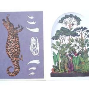 Terrarium de forêt tropicale et lézard de Gila- cabinet de curiosité - Illustration rainforest-  2 cartes postales art botanique et zoologie