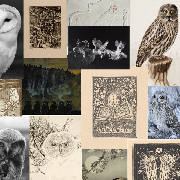 Owl 40 images art instant download for wall decoration, bullet journal ... printable vintage owl drawings