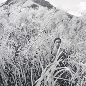 4 Vintage-Heliogravüren 1950 / Polynesien / Archipele / Tahiti / 4 Seiten aus Vintage-Reisedruckbüchern