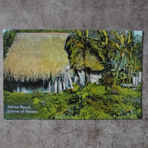 Panama - Décoration tropicale de carte postale vintage rare - carte postale ancienne - art mural végétal - ambiance d'Amérique centrale .240