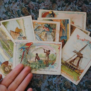 Lot von 8 Vintage-Chromolithographien von 1900 / alte Schulbilder "gute Punkte" für Kinder / Chromo die Welt entdecken