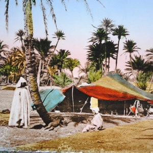 Art mural africain - tente berbère de nomades en Algérie -  bédouine dans un oasis - carte postale ancienne - sahara algérien -vie nomade B4