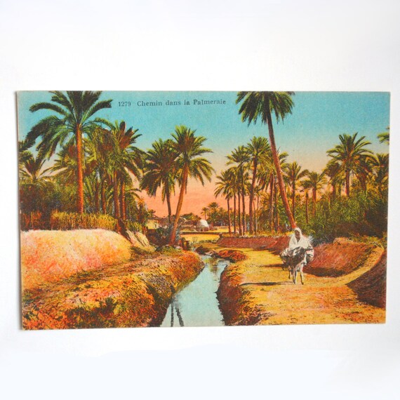 oasis postcard dress