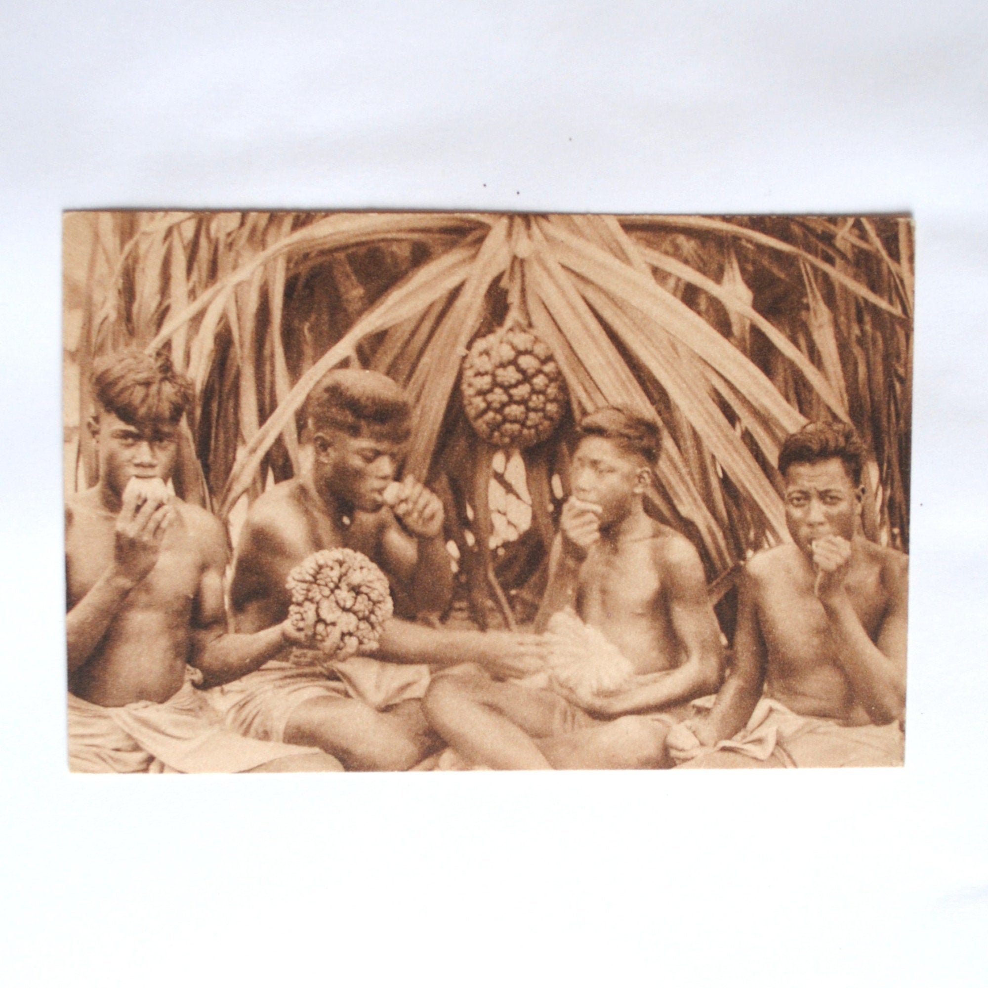 Rare Océanie Carte Postale Ancienne-Hommes Mangeant Le Fruit Du Pandanus -Fruit Exotique-Pandanus-Pa