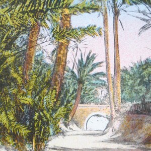 Oasis y palmeras en el norte de África - postal antigua - arte de pared de color rosa y verde - decoración oriental - refa10