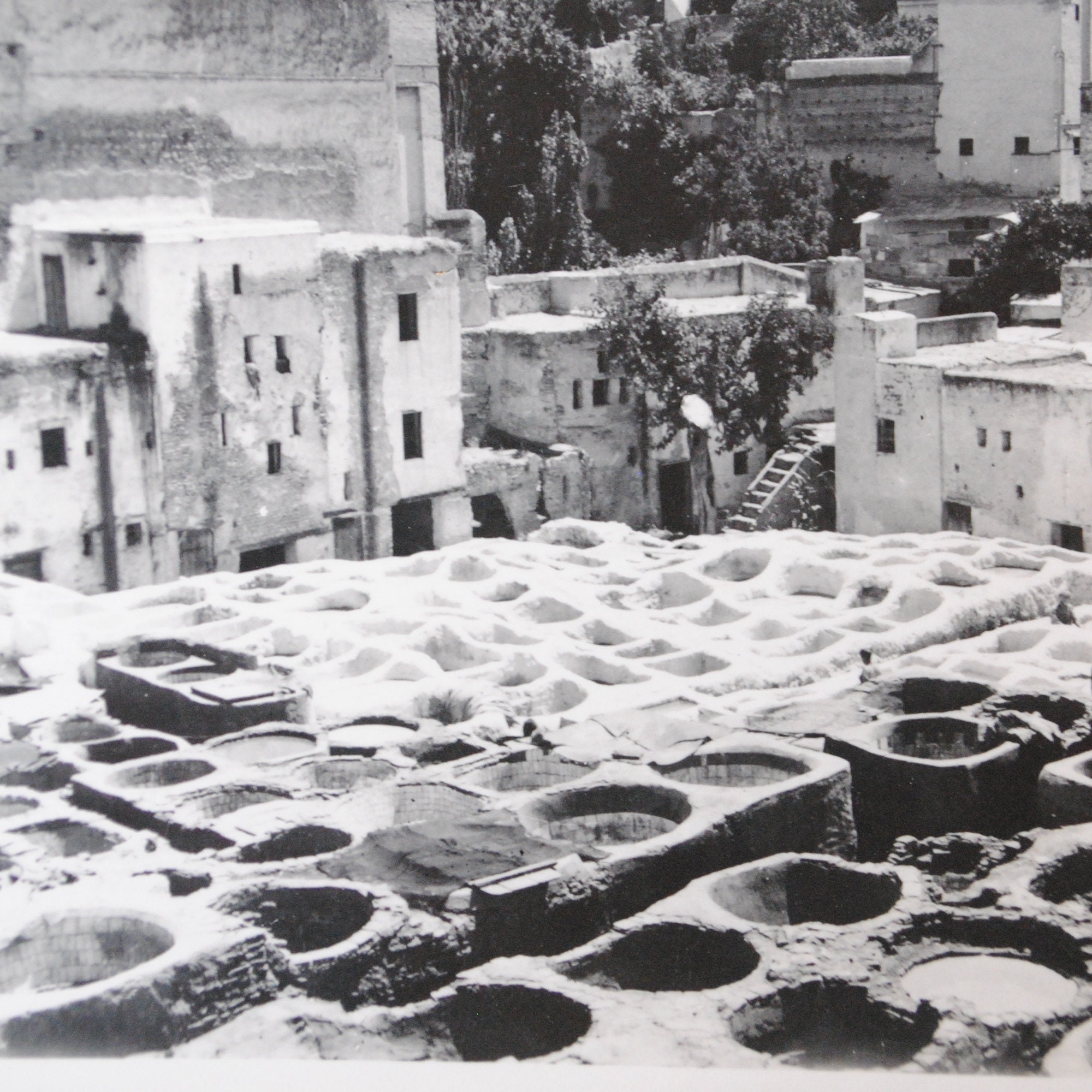 Algérie et Maroc/6 Photos 2 Cartes Postales Anciennes Fez, Les Tenturiers Meknès Algérie Oasis/... S