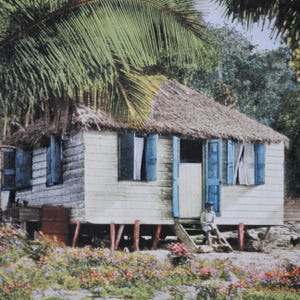 Bahamas - Décoration tropicale de cabane de plage - carte postale vintage rare - carte postale ancienne - art mural végétal - 240