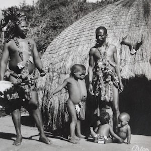 Tribu nativa africana zulú - Postal vintage rara Sudáfrica - África meridional - Arte mural africano - kraal zulú A18