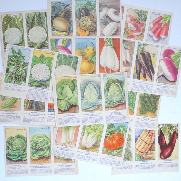 3 affiches vintage de légumes + 15  petites fiches de légumes pour art mural potager, collage, scrapbooking / art de potager rétro
