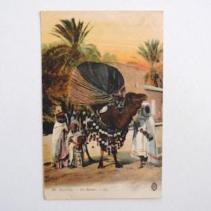 Algeria - Biskra - vecchia cartolina - arte murale africana - palanchino - basour- tribù - dromedario- donne nomadi- B16