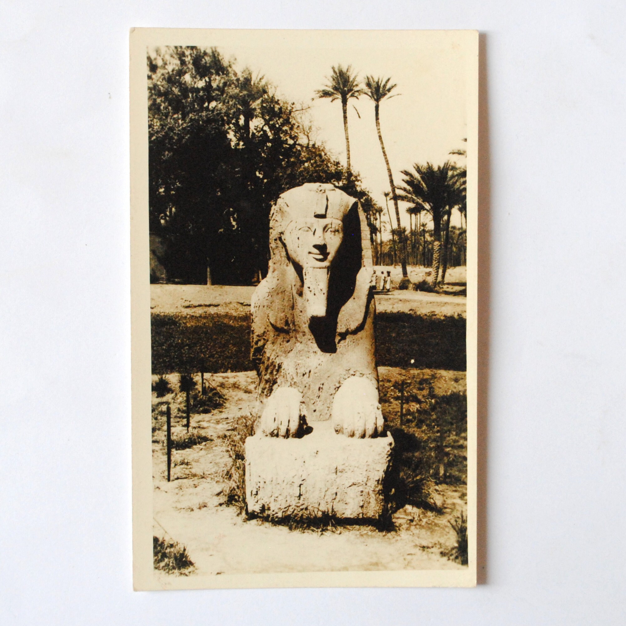 Egypte- Sphinx de Sakkara - Carte Postale Ancienne-Carte Egypte -Souvenir Voyage Égypte-Explorateur