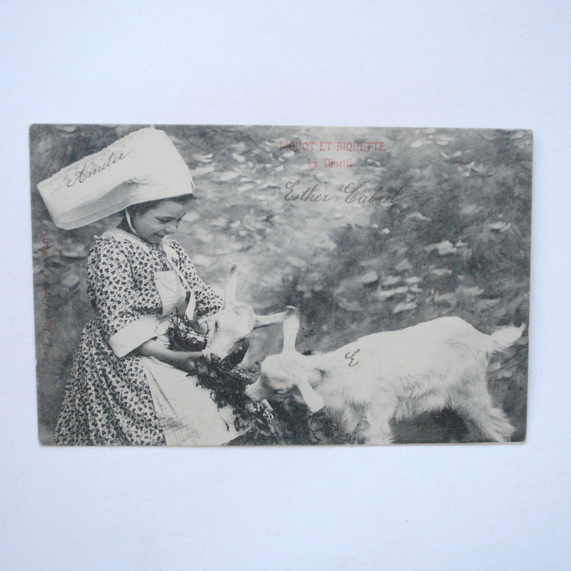 Carte Postale Ancienne-Petite Fille et Chèvres-Portrait Fillette Début Du 20Ème Siècle-Vie à La Camp