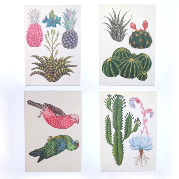 4 tropical art cards - Illustrations of tropical plants, exotic fruits and exotic birds - botanical wall art