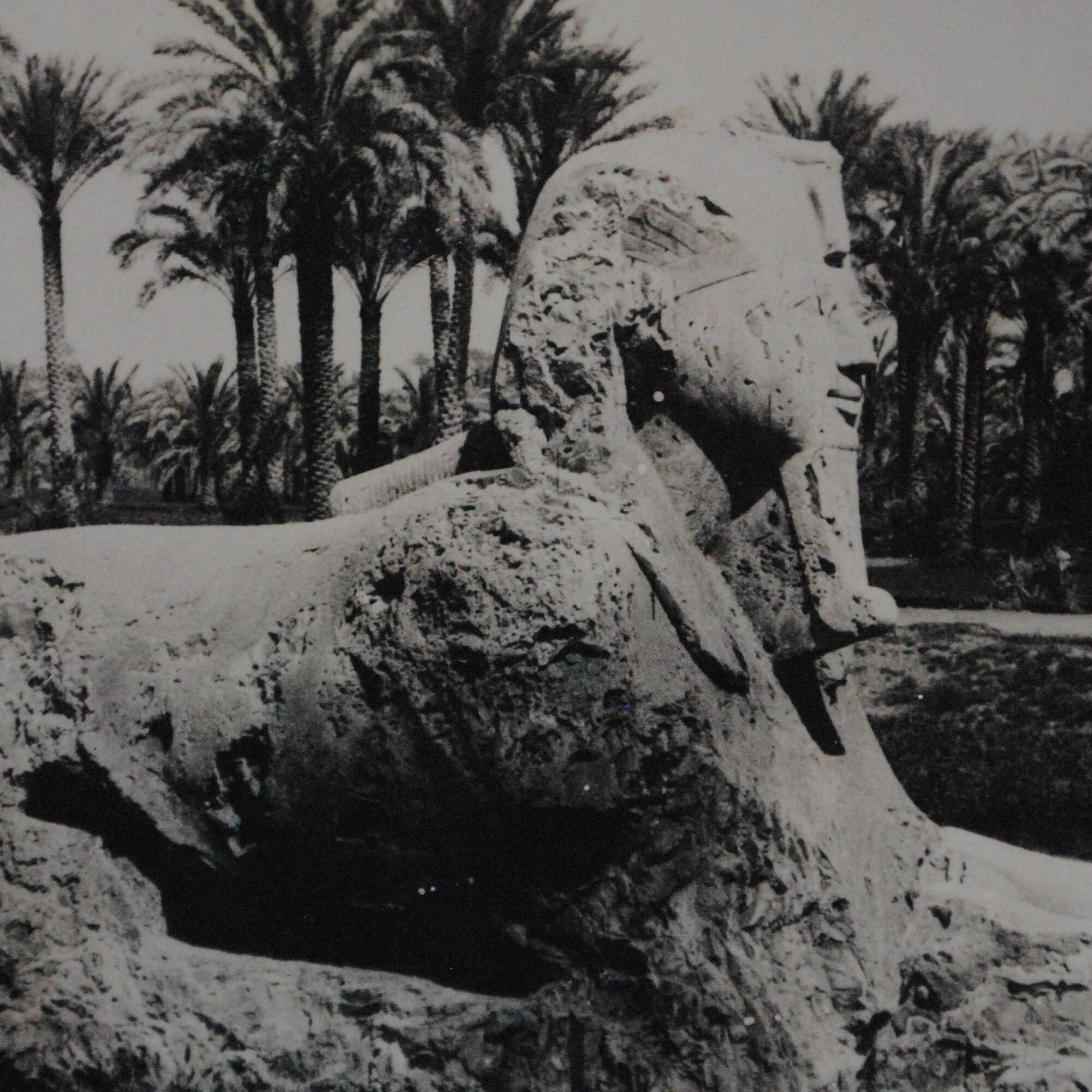 Egypte- Sphinx de Sakkara - Carte Postale Ancienne-Carte Egypte -Souvenir Voyage Égypte-Explorateur-