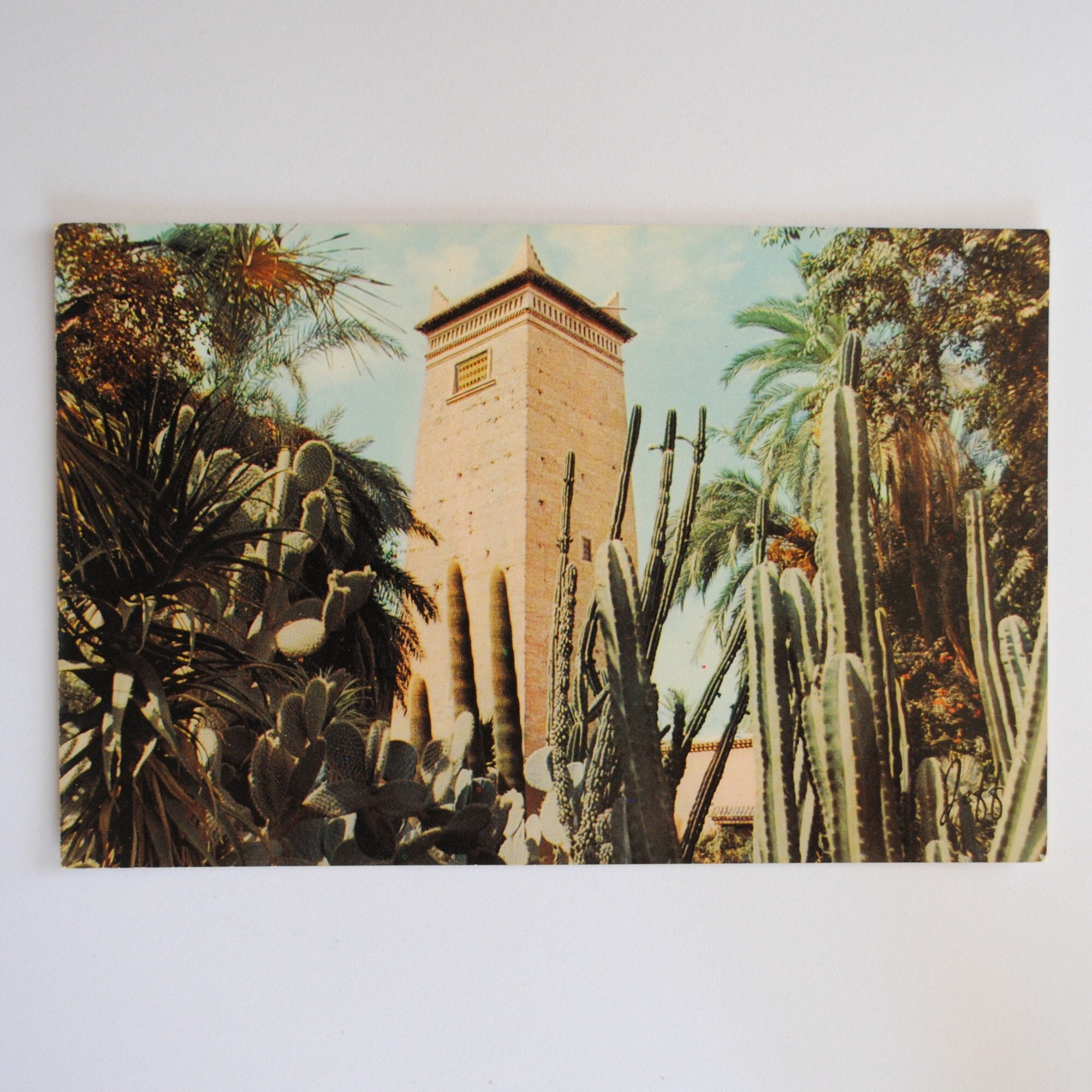 Morocco wall art / Marrakech / Majorelle Garden / old postcard 1920 / Moroccan interior decoration art A5
