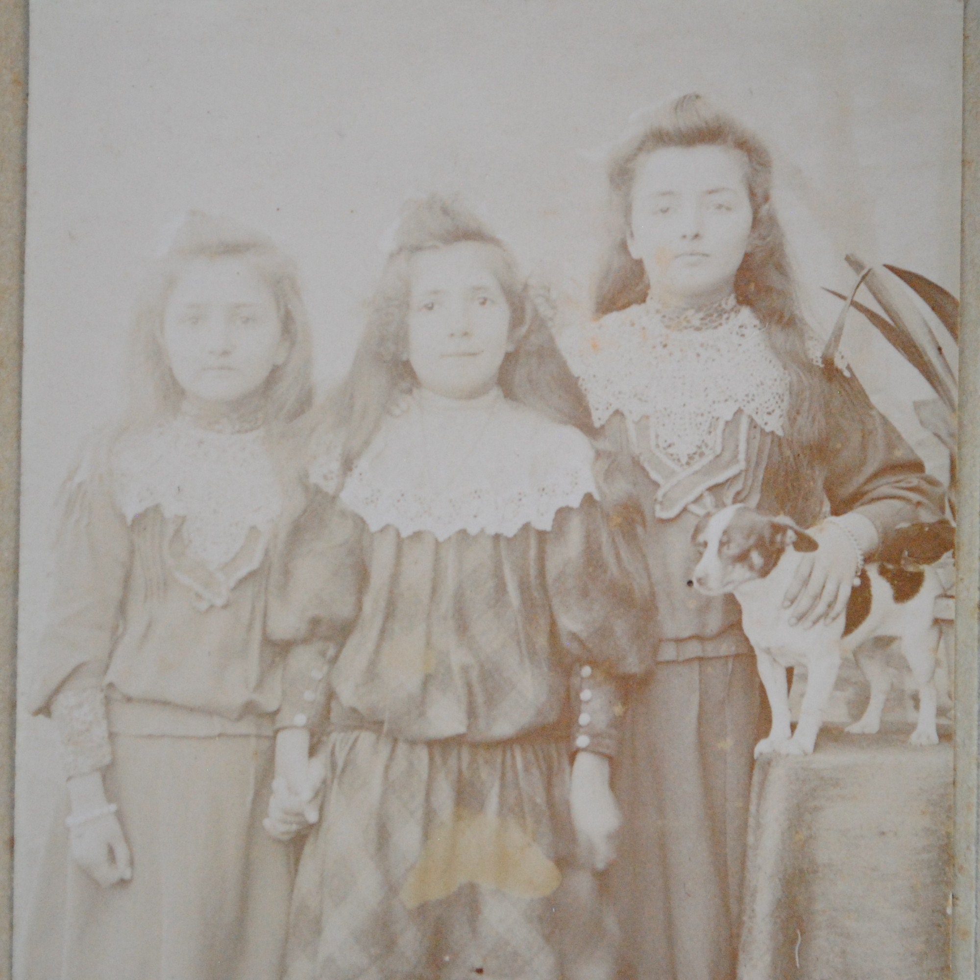 3 Old Portraits Late 19s Early 20s-little Girls and Baby-old - Etsy UK