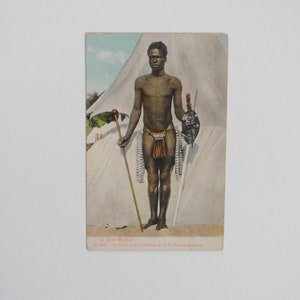 Zulu tribe - Rare carte postale vintage Afrique du Sud - Zululand - Zulu warrior -  portrait ethnique homme noir - art africain A20