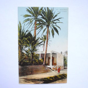 Oasis et palmiers en Afrique du Nord -Marabout dans l'oasis- carte postale ancienne -décoration ethnique-décoration orientale-refa5