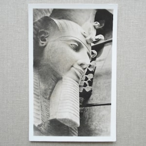 Ramses II / Memphis / rara cartolina dell'antico Egitto / fotografia reale / arte murale egiziana / 1930-40