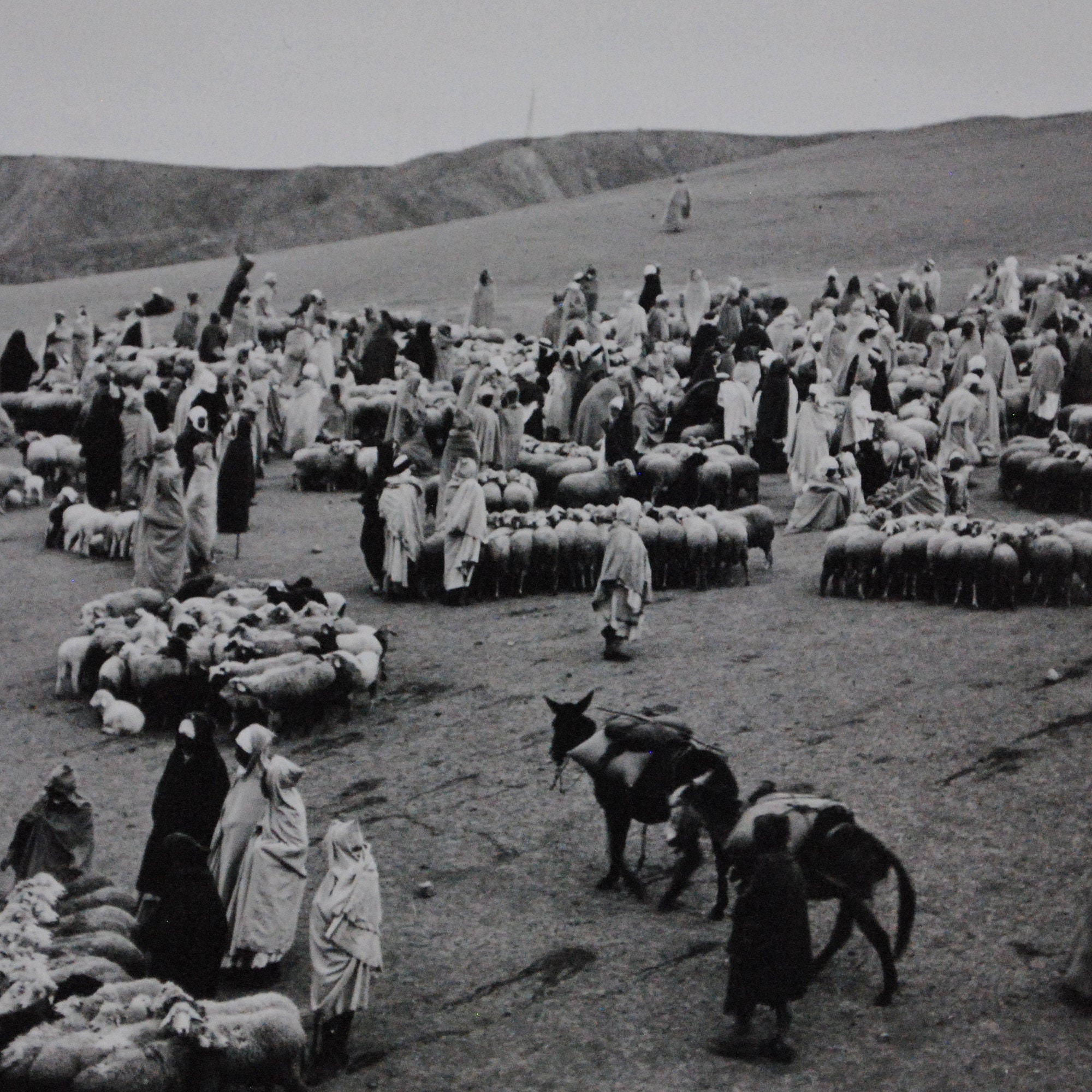 Algérie - Marché Arabe à Boghari/Ksar-El-Boukhari- 2 Photos Anciennes 1950S-Art de Voyage Oriental